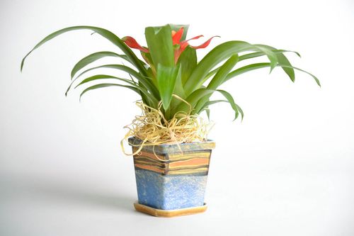 Clay flowerpot with a stand - MADEheart.com