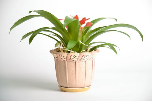 Flower pot Leaf - MADEheart.com