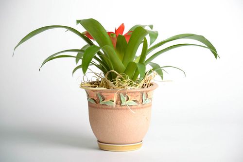 Ceramic flowerpots Modern - MADEheart.com