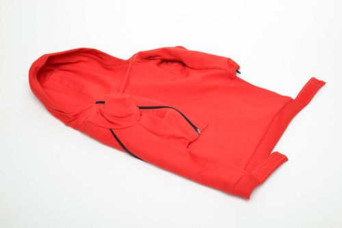 Red dog sweatshirt - MADEheart.com